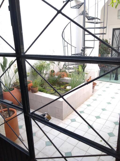 Casa Cuauhtemoc Villa Guadalajara Exterior photo